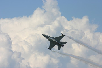 avion de chasse en vol