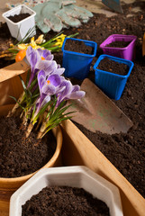 Detail of things to planting flowers