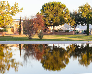 Fototapeta na wymiar Precioso parque con lago durante día de sol con reflejo