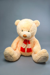 Teddy bear with  red scarf on grey background