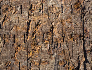 abstract wood texture from old house - can use to display or montage on product