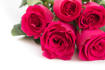 Closeup of red roses bouquet, on white background.