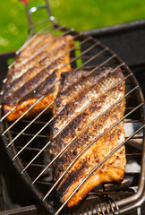 Fresh crispy grilled salmon.