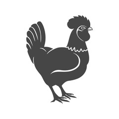 Rooster vector logo concept