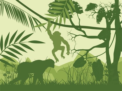 Jungle and animals green vector silhouettes