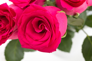 Closeup of red roses bouquet, on white background.