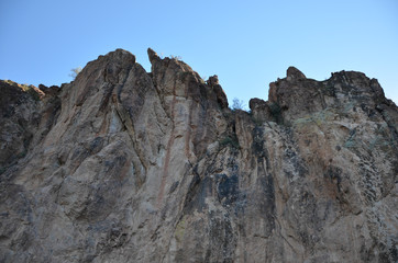 Saguaro Lake