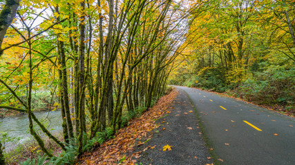 Obraz premium The path through the trees in the park in autumn. The road in the forest. Bright colors of fall.