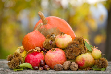 autumn fruits