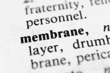 Obraz premium Membrane