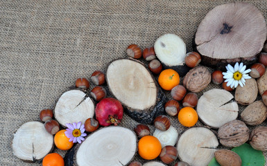 Abstract with woods, oranges, pomegranate, nuts and hazelnuts