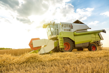 Obraz premium Combine harvester in action on wheat field