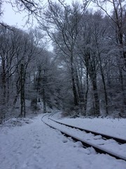 Bahnschienen im verschneiten Wald