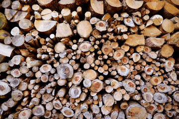 Dry chopped firewood logs stacked up on top of each other in a pile