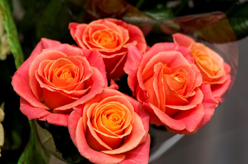 Букет роз розового цвета