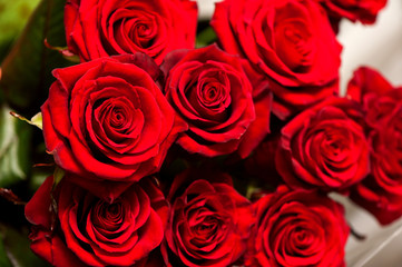 Букет красных роз