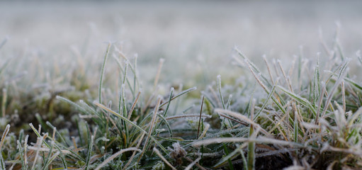 Rasen im Winter vom Frost bedeckt