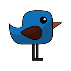 cute bird isolated icon vector illustration design