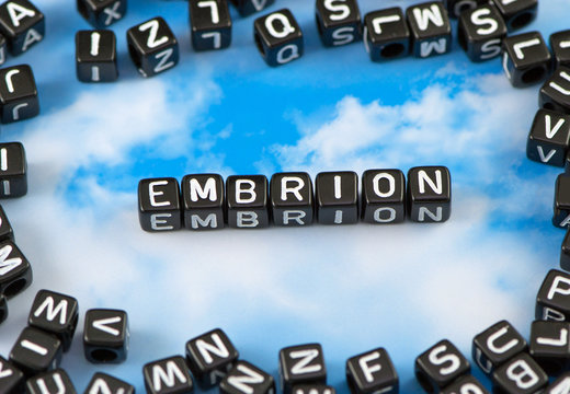 The word embrion on the sky background