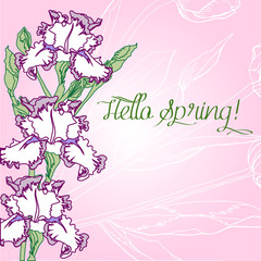 Pink Background with irises.Spring  