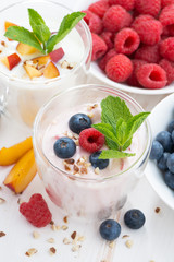 Berry and fruit yoghurt and fresh ingredients, vertical