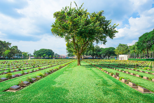 November 20/2016 Kanchanaburi War Cemetery World War 2 in Kancha