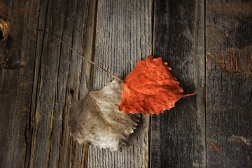 Naklejka na ściany i meble orange and brown heart shaped leaves on rustic wood