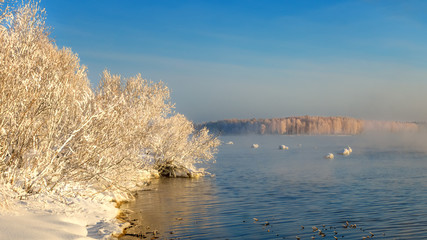 весенний пейзаж на берегу реки с туманом и лесом в инее, Россия, Урал © 7ynp100