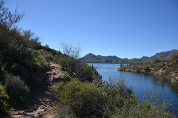Fototapeta na wymiar Saguaro Lake