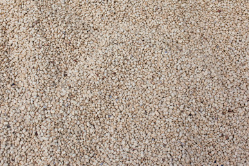 Soy Bean Texture