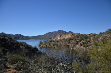 Saguaro Lake