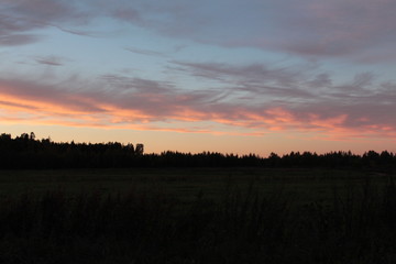 Evening landscape near the forest in the russian province