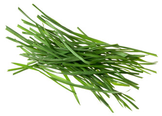 Fototapeta premium Gras auf Weiß