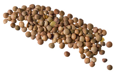 Linsen auf Weiß