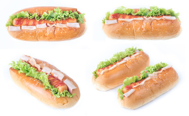 fast food,hot dogs with various ingredients isolated on white background