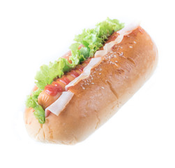 fast food,hot dogs with various ingredients isolated on white background