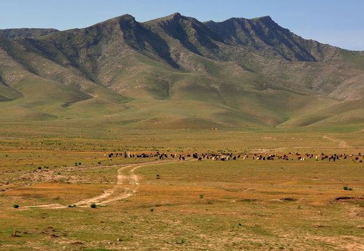 Unterwegs auf dem Weg entlang der Seidenstra&szlig;e in Richtung Samarkant 