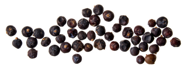 Wacholderbeeren auf Weiß