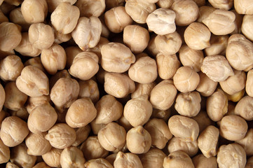 Full portrait of a chickpea