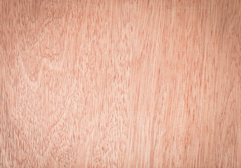 Texture of wood background closeup