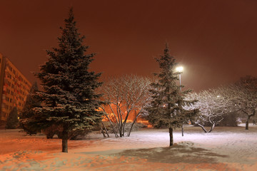 Park w nocy oświetlony latarniami w zimie.