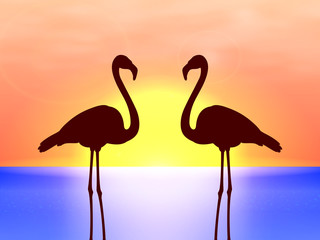 Vector silhouette couple flamingos in the sunset