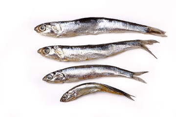 Anchovy from the Black sea - salted small fish lying on a white