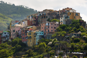 Fototapeta na wymiar The village of Corniglia of the Cinque Terre