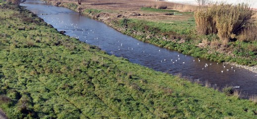 Delta Rio Besós

