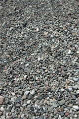 Strandsteine am Ufer