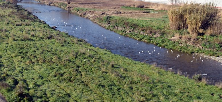 Delta Rio Bes&oacute;s
