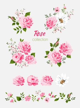 Beautiful isolated pink flowers on the white background. Set of different floral design elements-Pink rose, chamomile, leaf, branch. All elements are isolated and editable.
