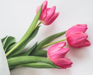 Pink Tulips