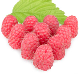 tasty raspberries